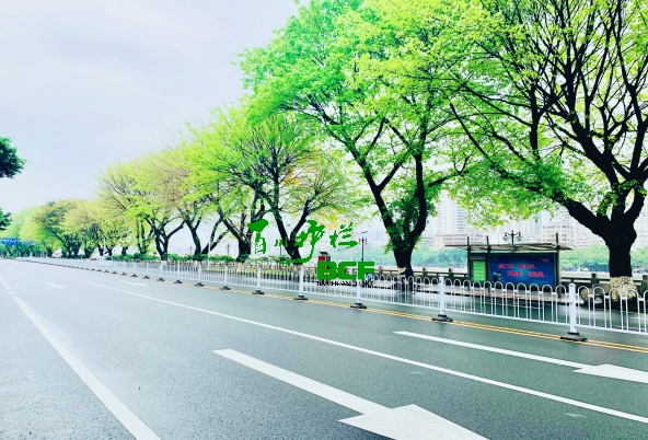 广东韶关京式护栏工程